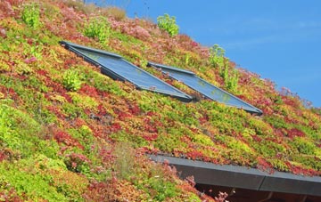 Dollwen living roof systems